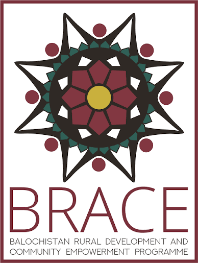 BRACE Programme Grant Component Evaluation